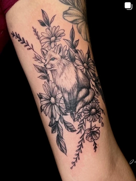 fox