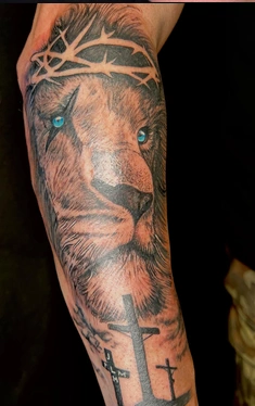 lion